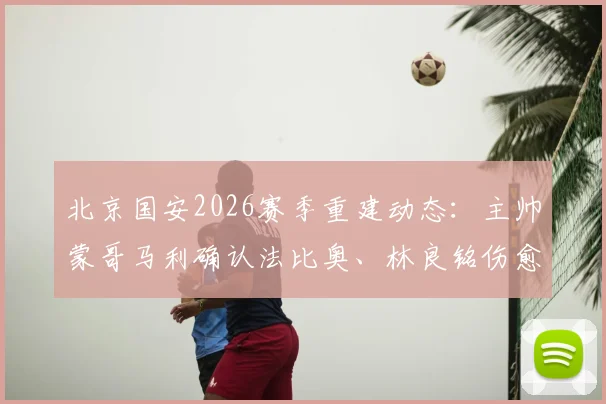 北京国安2026赛季重建动态:主帅蒙哥马利确认法比奥、林良铭伤愈回归,球队阵容迎新调整