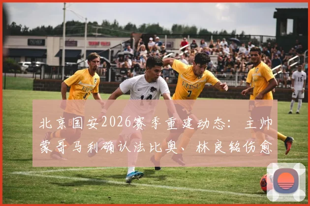 北京国安2026赛季重建动态：主帅蒙哥马利确认法比奥、林良铭伤愈回归，球队阵容迎新调整